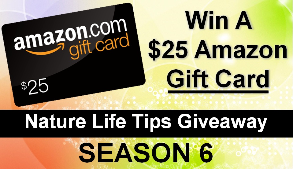 Win A $25 Amazon Gift Card | Best Free Giveaways